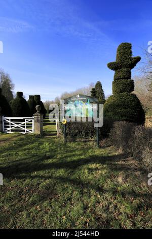 L'avenue Yew Tree au village de Clipsham; Rutland; Angleterre; Royaume-Uni Banque D'Images