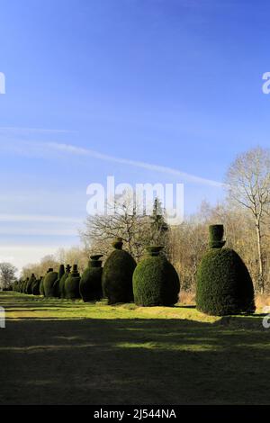 L'avenue Yew Tree au village de Clipsham; Rutland; Angleterre; Royaume-Uni Banque D'Images