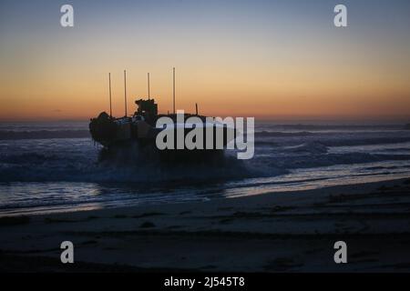 Les Marines des États-Unis, avec leur bataillon d'assaut 3D, 1st Marine Division, viennent à terre dans un véhicule de combat amphibie après avoir mené une épreuve d'entraînement de terre à navire et de navire à terre au camp de base du corps des Marines Pendleton, Californie, le 8 avril 2022. Cette évolution de l'entraînement a marqué le premier exercice d'ACV au niveau des peloton avec des troupes lancées, démontrant la capacité et la compétence pendant les opérations d'origine hydrique.(É.-U. Photo du corps marin par Cpl. Quince Bisard) Banque D'Images