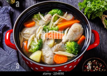 soupe de printemps au poulet avec brocoli, carottes, panais, poireaux et pâtes dans un pot rouge sur une table en bois sombre, gros plan Banque D'Images