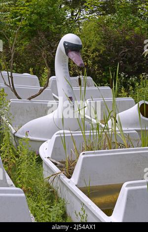 Spreepark, promenade amusante avec gondoles de cygne dans l'ancien parc d'attractions du GDR, Allemagne, Berlin Banque D'Images