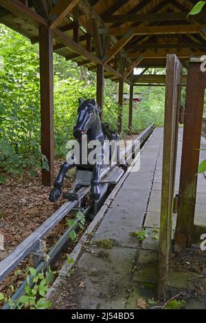 Spreepark, promenade amusante dans l'ancien parc d'attractions de la RDA, Allemagne, Berlin Banque D'Images