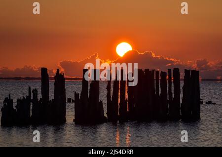 Belle vue sur la mer le matin. Des boles en bois au bord de la mer polonaise avec le soleil du matin en arrière-plan. Banque D'Images