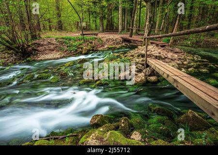 Scène d'Ochiul Beiului, un petit lac émeraude trouvé en trekking sur le parc national des Gorges de la Nera-Beunita. Photo prise le 17th avril 2022, nea Banque D'Images