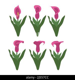 Icônes du logo d'illustration vectorielle de Flamingo Flowers Set Illustration de Vecteur
