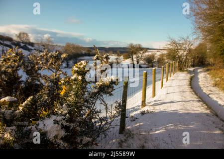 Paysage couvert de neige au début du printemps Banque D'Images