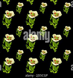 Fleurs de coquelicot jaunes motif sans couture sur fond noir, papier numérique 12x12 pour les dorlots et les éléments de design. Banque D'Images