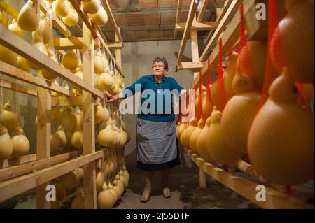 Frosolone (Isernia), Italie 12/05/2016: Vittoria Colaciello dans sa cave où elle stocke le fromage caciocavallo, sa famille pratique encore la transhumance de Puglia à Molise. © Andrea Sabbadini Banque D'Images