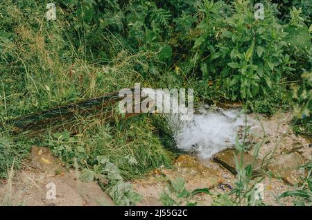 Fraîcheur agréable de l'eau froide courante. Source de cristal dans un environnement naturel. Pierres humides, végétation verte près du printemps dans la forêt. Banque D'Images