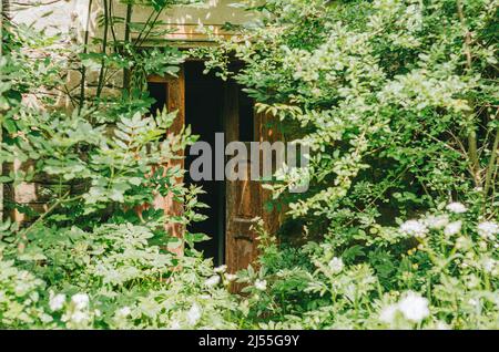 Partie de la vieille maison dans les épaissis. Porte en bois. Design vintage. Banque D'Images