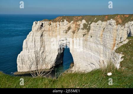 Célèbres falaises en aval d'Etretat et de l'arche naturelle "la Manneporte". Etretat est une commune française, située dans le département de la Seine-Maritime et la région haute-Normandie Banque D'Images