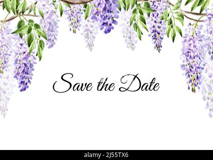 Fleurs de wisteria, enregistrez la date d'invitation ou la carte de vœux. Aquarelle dessinée à la main, illustration isolée sur fond blanc Banque D'Images