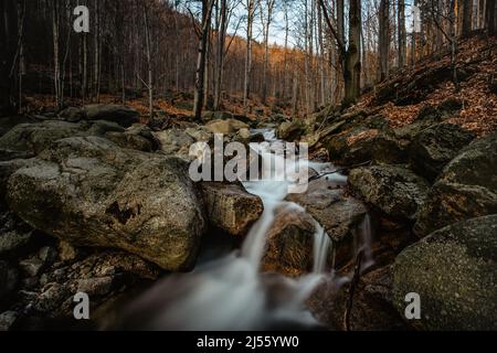 Réserve naturelle tchèque appelée Jizerskohorske buminy, Jizera Mountain Beechwood, sur la liste de l'UNESCO.nature unique avec des hêtres, des chutes d'eau, des ruisseaux sauvages Banque D'Images