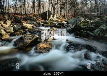 Réserve naturelle tchèque appelée Jizerskohorske buminy, Jizera Mountain Beechwood, sur la liste de l'UNESCO.nature unique avec des hêtres, des chutes d'eau, des ruisseaux sauvages Banque D'Images