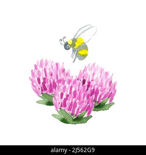 Illustration aquarelle d'abeilles fluant au-dessus de fleurs de trèfle. Petite abeille lumineuse à la recherche du nectar Banque D'Images
