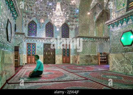 Shiraz, Iran - Mai 2019: Homme priant à l'intérieur du complexe Shah-e-Cheragh Temple et mausolée, la mosquée miroir, décorée en vert avec de nombreux miroirs. Banque D'Images