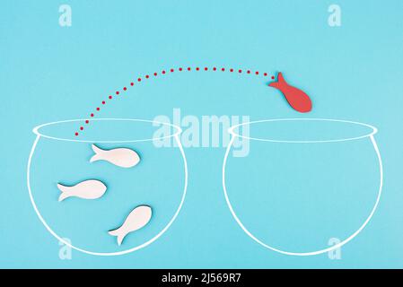 Red Fish est le chef de file du groupe, leadership et le concept de travail d'équipe, être un gagnant, succès et démarrage dans les affaires, suivre une nouvelle idée, acquarium Banque D'Images