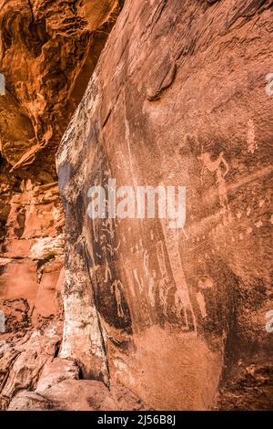 Les pétroglyphes de Fremont Culture du Kokopelli Panel dans Seven Mile Canyon près de Moab, Utah, sculptés sur des murs de falaises de grès, sont plus de 800 ans Banque D'Images