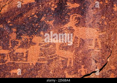 Un mouflon d'Amérique est attaqué par un couguar sur le panneau d'art de Sand Island Rock, près de la rivière San Juan, Utah. Le panneau est une grande collection de pétrogly Banque D'Images