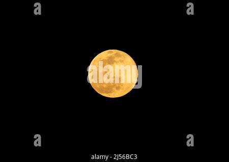 La pleine Lune du Loup s'élevant en janvier, vue de South Padre Island, Texas. Banque D'Images