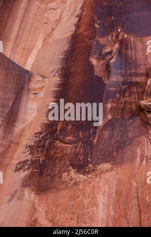 Fremont Culture pétroglyphes amérindiens sur un panneau d'art rupestre dans le canyon du fleuve Colorado près de Moab, Utah. Ces pétroglyphes sont d'environ 1000 Banque D'Images