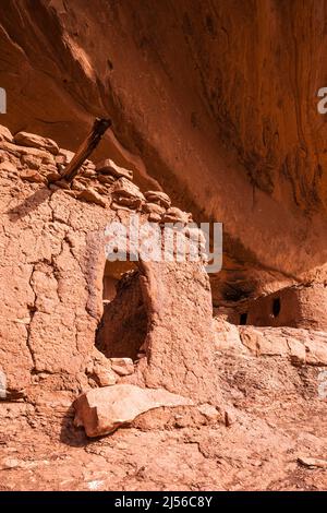 Cliff Dwellings dans le complexe Moon House Ruin sur Cedar Mesa, monument national Bears Ears, Utah. Le complexe Moon House Ruin est un groupe d'un ancien Banque D'Images