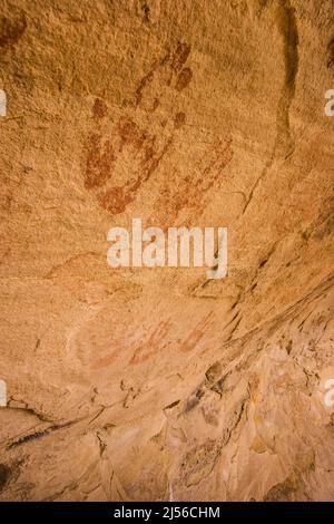 La grotte de Monarch ruine, une ruine ancestrale indienne puebloan ancestrale de 1000 ans dans une alcôve protectrice dans un canyon de l'unité JAA de Shash de la Banque D'Images