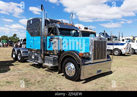 Trucks Australia / Peterbilt 379 Series 425 HP semi-Truck dans la ville minière de Clunes dans les années 1850, dans le Victoria Australie. Banque D'Images