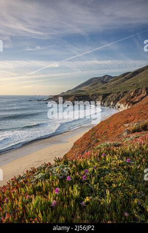 Vue vers le nord sur la côte depuis un promontoire au-dessus de la plage d'État de Garapatta Banque D'Images