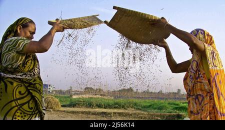 Dhaka, Dhaka, Bangladesh. 18th avril 2022. Le mot Nobanno est une combinaison de nobo (nouveau) et onno (riz) qui se traduit par un nouveau riz. Utshob qui signifie festival fait l'expression Nobanno Utshob festival ou célébration de nouveau riz. La majorité des Bangladais vivent encore dans des zones rurales et sont fortement dépendants de l'agriculture. (Credit image: © Tahsin Ahmed/Pacific Press via ZUMA Press Wire) Banque D'Images