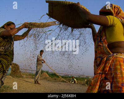 Dhaka, Dhaka, Bangladesh. 18th avril 2022. Le mot Nobanno est une combinaison de nobo (nouveau) et onno (riz) qui se traduit par un nouveau riz. Utshob qui signifie festival fait l'expression Nobanno Utshob festival ou célébration de nouveau riz. La majorité des Bangladais vivent encore dans des zones rurales et sont fortement dépendants de l'agriculture. (Credit image: © Tahsin Ahmed/Pacific Press via ZUMA Press Wire) Banque D'Images