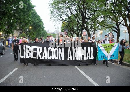 Buenos Aires, Argentine; 1 novembre 2021: Journée mondiale des Vega. Les gens défilent en brandissant des bannières : Animal Liberation. Le véganisme est la justice. Banque D'Images