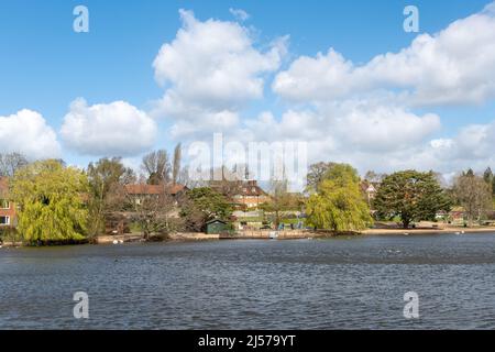 Vue sur l'étang de santé de Petersfield au printemps, un endroit de beauté dans le Hampshire, Angleterre, Royaume-Uni Banque D'Images