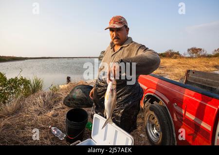 Pêcheur avec sa prise tôt le matin à Punta Chame, côte du Pacifique, province de Panama, République de Panama, Amérique centrale. Banque D'Images