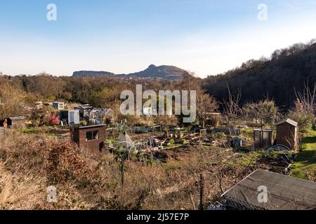 Une vue sur les jardins de l'allotissement dans le quartier de MornInside à Édimbourg avec Arthur's Seat en arrière-plan Banque D'Images