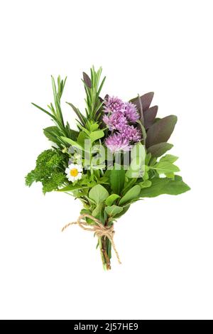 Herbes liées dans un bouquet pour l'assaisonnement alimentaire, ingrédients frais organiques également utilisés dans la médecine de plantes pour traiter diverses maladies. Sur fond blanc Banque D'Images