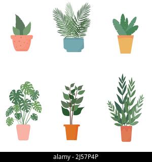 Ensemble de plantes d'intérieur en pots de fleurs. Illustration vectorielle, isolée. Illustration de Vecteur
