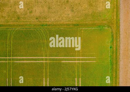 Modèles symétriques de champs verts avec chenilles du tracteur au ressort, vus directement par le dessus Banque D'Images