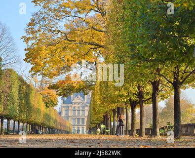 Automne dans le jardin des Tuileries, Paris, France. Banque D'Images