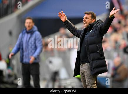 Entraîneur entraîneur entraîneur entraîneur Markus Weinzierl FC Augsburg FCA et entraîneur entraîneur Julian Nagelsmann FC Bayern Muenchen FCB am Spielfeldrad, Gestik, Geste, Allianz Banque D'Images