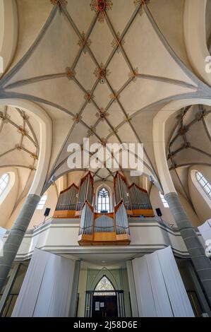 Orgelempore und Kreuzgewoelbe, Katolische Stadtpfarrkirche St. Martin, Leutkirch, Allgaeu, Bade-Wurtemberg, Allemagne Banque D'Images