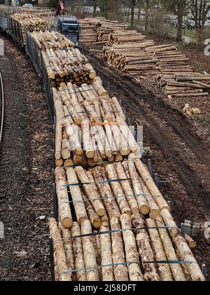 Holztransport auf der Schiene, Witten, Ruhrgebiet, Nordrhein-Westfalen, Allemagne Banque D'Images