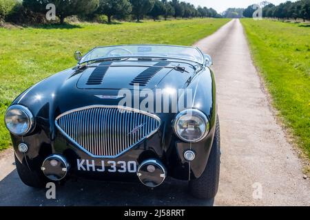 Un 1955 Austin Healey 100 noir, le Mans 'M' Spec, avec écran replié en mode de course, Candover Valley, Hampshire, Royaume-Uni Banque D'Images