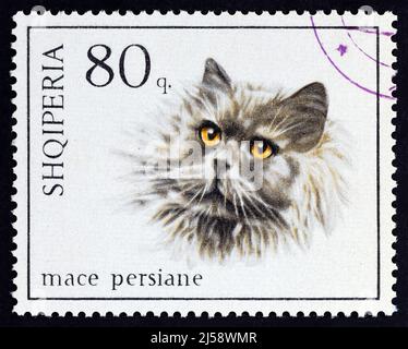 ALBANIE - VERS 1966 : un timbre imprimé en Albanie dans le numéro des chats montre le chat perse (Felis silvestris catus), vers 1966. Banque D'Images