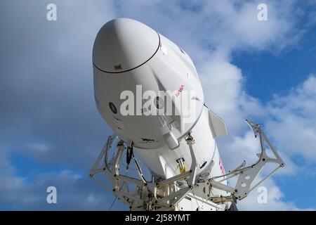 Le Dragon de l'équipage SpaceX, nommé Freedom par les astronautes de l'équipage 4, au sommet de la fusée Falcon 9 de la société, quitte le hangar d'intégration SpaceX adjacent au complexe de lancement 39A du Centre spatial Kennedy de la NASA pour être déployé sur le plateau de lancement le mardi 19 avril 2022. Les astronautes de la NASA Kjell Lindgren, Bob Hines et Jessica Watkins, ainsi que l'astronaute de l'Agence spatiale européenne Samantha Cristoforetti, qui est arrivé à Kennedy il y a un jour, se rentreront à la Station spatiale internationale dans le cadre de la mission SpaceX Crew-4 de la NASA. Le décollage est prévu pour le samedi 23 avril à 5 h 26 HAE. Photo de SpaceX/NASA Banque D'Images