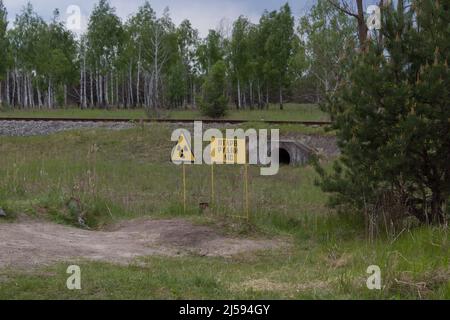 Connectez-vous à Tchernobyl. Contamination supplémentaire. Forêt rouge Banque D'Images