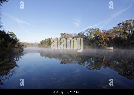 Paysage à Alexander Springs dans la forêt nationale d'Ocala, Floride, États-Unis Banque D'Images