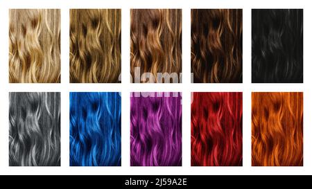Différentes couleurs de teinture des cheveux. Ensemble d'échantillons de différentes couleurs de cheveux. Banque D'Images