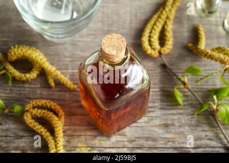 Une bouteille de tisane avec de jeunes branches de bouleau avec des chatons Banque D'Images