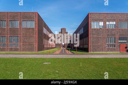 Zeche Zollverein, site classé au patrimoine mondial de l'UNESCO, Halls 5 et 6, au milieu de la construction du Musée Red Dot Design dans l'ancien chaufferie du Banque D'Images